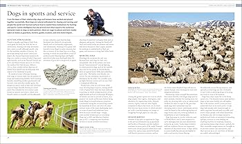 趣味・スポーツ・実用 The new Encyclopedia of the DOG Amazon.co.jp: The New Encyclopedia of the Dog : 本